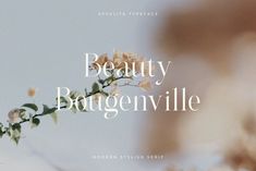 the words beauty bougenvillee are in front of a blurry image of flowers