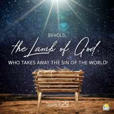 Christmas Wishes Bible Quotes, Quotes About The Christmas Season, Merry Christmas Images Jesus, Bible Verses On Christmas, Christmas Eve Christian Quotes, Merry Christmas Nativity Images, Nativity Quotes Christmas, Dec 1 Christmas Quotes, Christmas Facebook Cover Christian