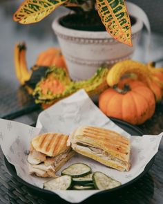 a sandwich cut in half sitting on top of a plate next to a potted plant