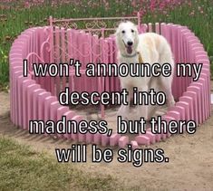 a white dog sitting in the middle of a pink ring with words on it that says, i won't announce my decent into madness but there will be signs