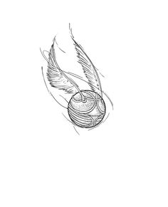 an ink drawing of a bird's wing with a ball in it and some feathers