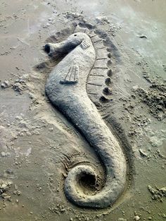 a sea horse sand sculpture on the beach