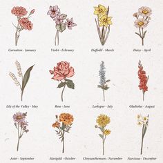 a bunch of flowers that are in different colors