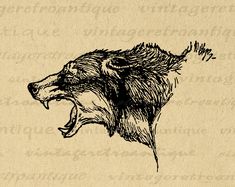 a drawing of a bear with its mouth open