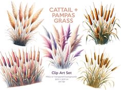 Grass Clip Art, Wild Grass, Clear Background, Pampas Grass, Junk Journal, Party Decor, Art Set, Halloween Shopping, Art Images