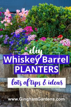 the words whiskey barrel planters on top of wooden barrels filled with flowers and plants