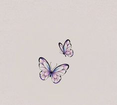 two purple butterflies flying in the sky