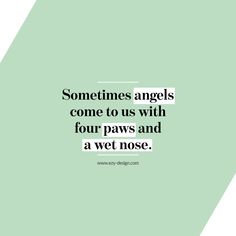 a quote that says sometimes angels come to us with four paws and a wet nose