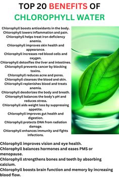 top 20 chlorophyll water benefits Water Bottle Label Design, Bottle Label Design, Healing Waters, Improve Gut Health, Water Bottle Label