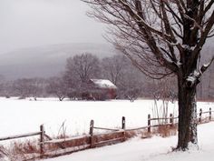 a snow covered field with a fence and tree in the foreground on a cloudy day