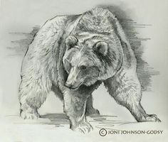 a pencil drawing of a bear walking on the ground with his paw in its mouth