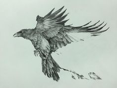 a drawing of a bird flying in the sky