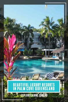 the beautiful luxury resort in palm cove queensland is featured on this postcard for an article