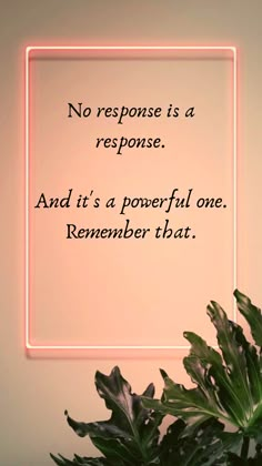 a plant in front of a neon sign that says, no response is a response and it's a powerful one remember that