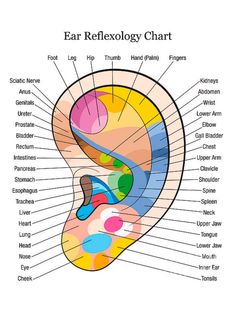 EAR REFLEXOLOGY CHART - Etsy Canada