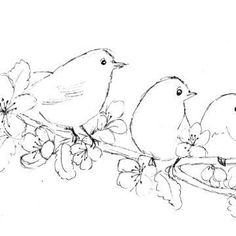 two birds sitting on a branch with flowers