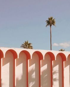 a skateboarder is doing a trick in the air over a wall and palm trees