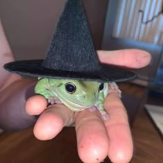 a small frog wearing a witches hat on top of it's head in someones hand