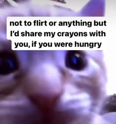 a close up of a cat's face with the caption not to fit or anything but i'd share my crayos with you, if you, if you were hungry