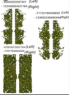 four different types of plants with numbers on them