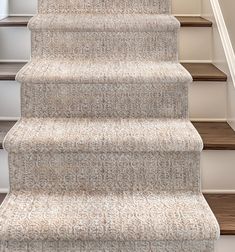 a carpeted staircase leading up to the second floor