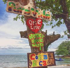 a sign that says one love never give up and costa rica on the side of a tree