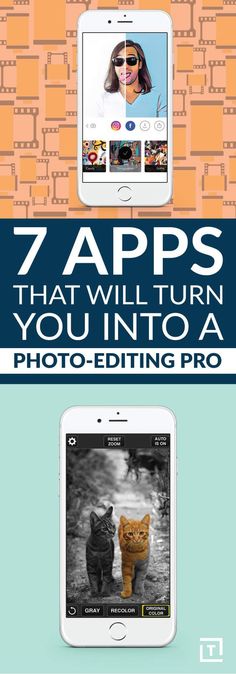 an image of two cats and the text 7 apps that will turn you into a photo - editing pro