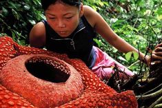 a woman kneeling down next to a giant flower in the forest with other people around her