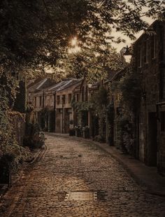 an empty cobblestone street with trees and buildings on either side at sunset or dawn