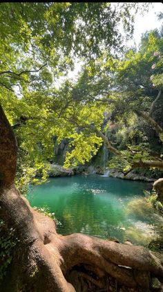 a river surrounded by trees and rocks in the middle of a forest with water running through it