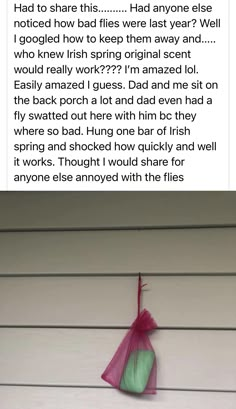 a pink bag hanging from the side of a white wall next to a green bag