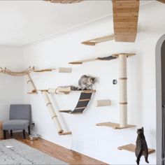 a cat sitting on top of a wooden shelf in a living room next to a gray chair