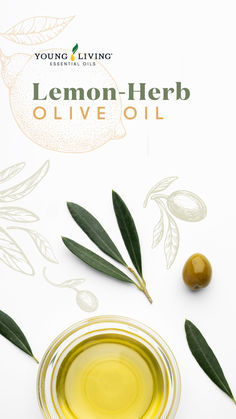 lemon - herb olive oil in a glass bowl next to an olive branch and leaves