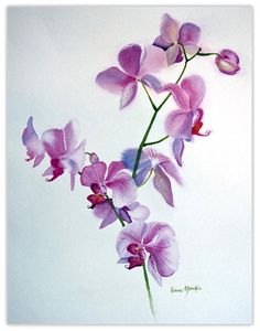 a painting of purple orchids on a white background