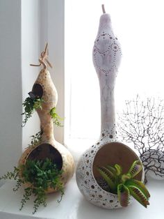 two vases with plants in them sitting on a window sill next to a potted plant