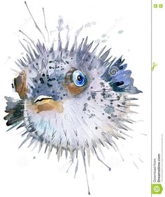 watercolor painting of a puffer fish with blue eyes