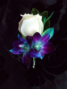 a white rose and purple orchid boutonniere on pinterest for sale