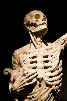 an image of a human skeleton that is looking like it's holding something in his hand