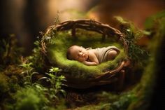 a newborn baby is sleeping in a mossy nest with green leaves on the ground