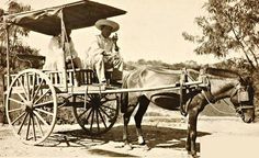 an old photo of a man sitting in a horse drawn carriage