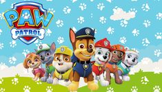 the cartoon paw patrol has many puppies