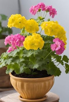 a potted plant with yellow, pink and purple flowers in it sitting on a table