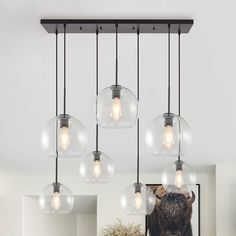 Modernize your kitchen island or dining area with the HUOKU 7-light pendant chandelier. Available in sleek black or elegant gold finishes, this fixture features moisture-resistant painted surfaces and distinctive globe clear glass shades with rolled edges in two sizes: 8.7 inches and 11 inches in diameter. Customize its 78.7-inch braided cord to suit your space, creating a linear cluster design under a rectangular canopy. Perfect for urban industrial settings, this chandelier effortlessly blends Silver Light Fixture, Modern Contemporary Chandelier, Glass Globe Chandelier, Island Chandelier, Kitchen Island Chandelier, Cluster Design, Dining Room Light Fixtures, Globe Pendant Light, Urban Industrial