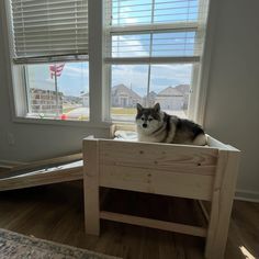 a dog sitting on top of a wooden bed