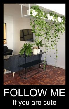 a living room with some plants on the wall