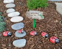 some ladybug rocks are sitting in the grass near a sign that says ladybug crossing