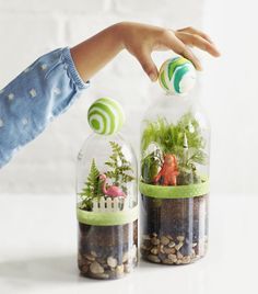 two glass bottles filled with plants and rocks, one being held by a person's hand