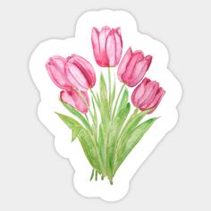 watercolor painting of pink tulips with green stems on white paper sticker