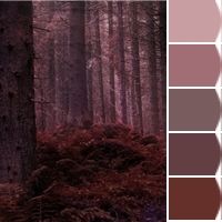 an image of a forest with trees in the background and color swatches on each side