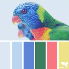 a colorful bird is sitting on top of the color swatches in front of it's face